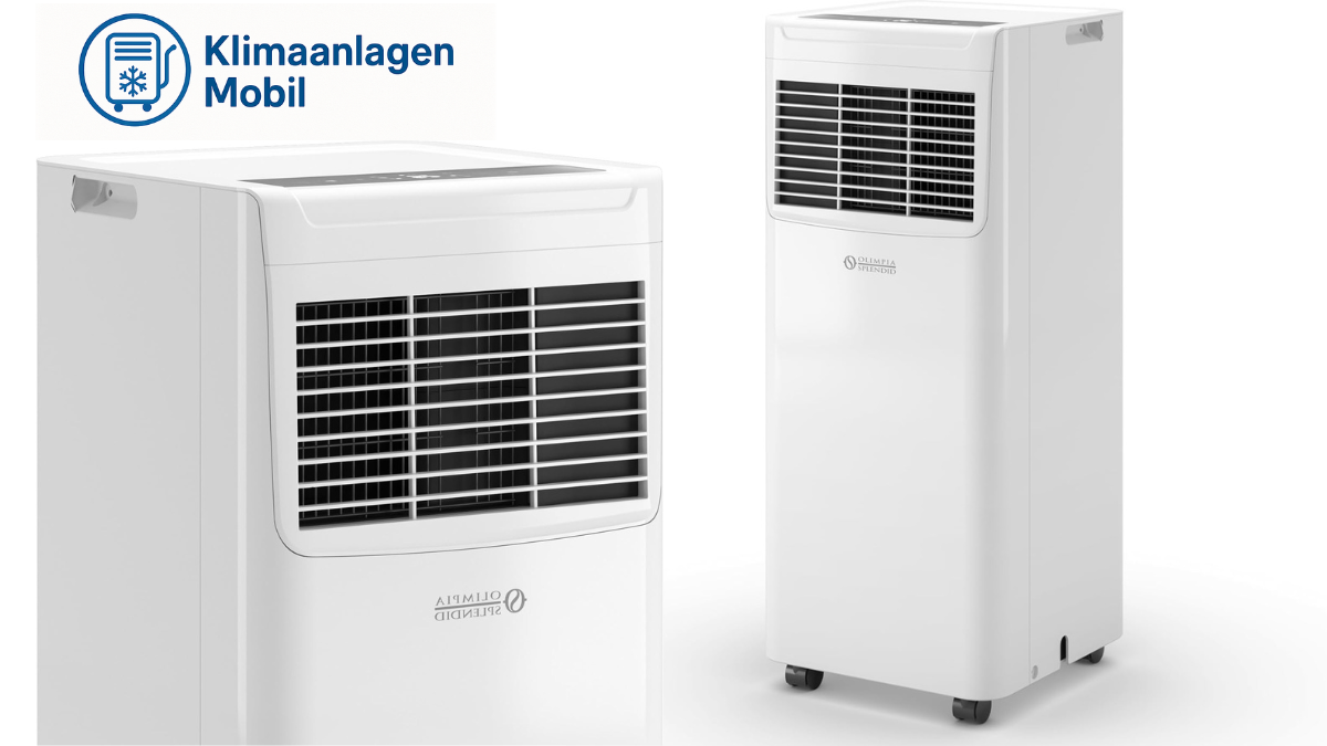 Olimpia Splendid Dolceclima Slim 8 WWB
